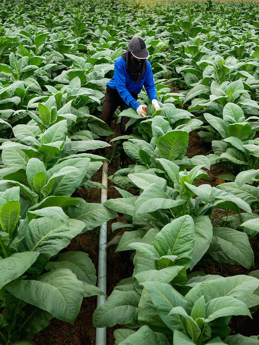 Our corporate social responsibility