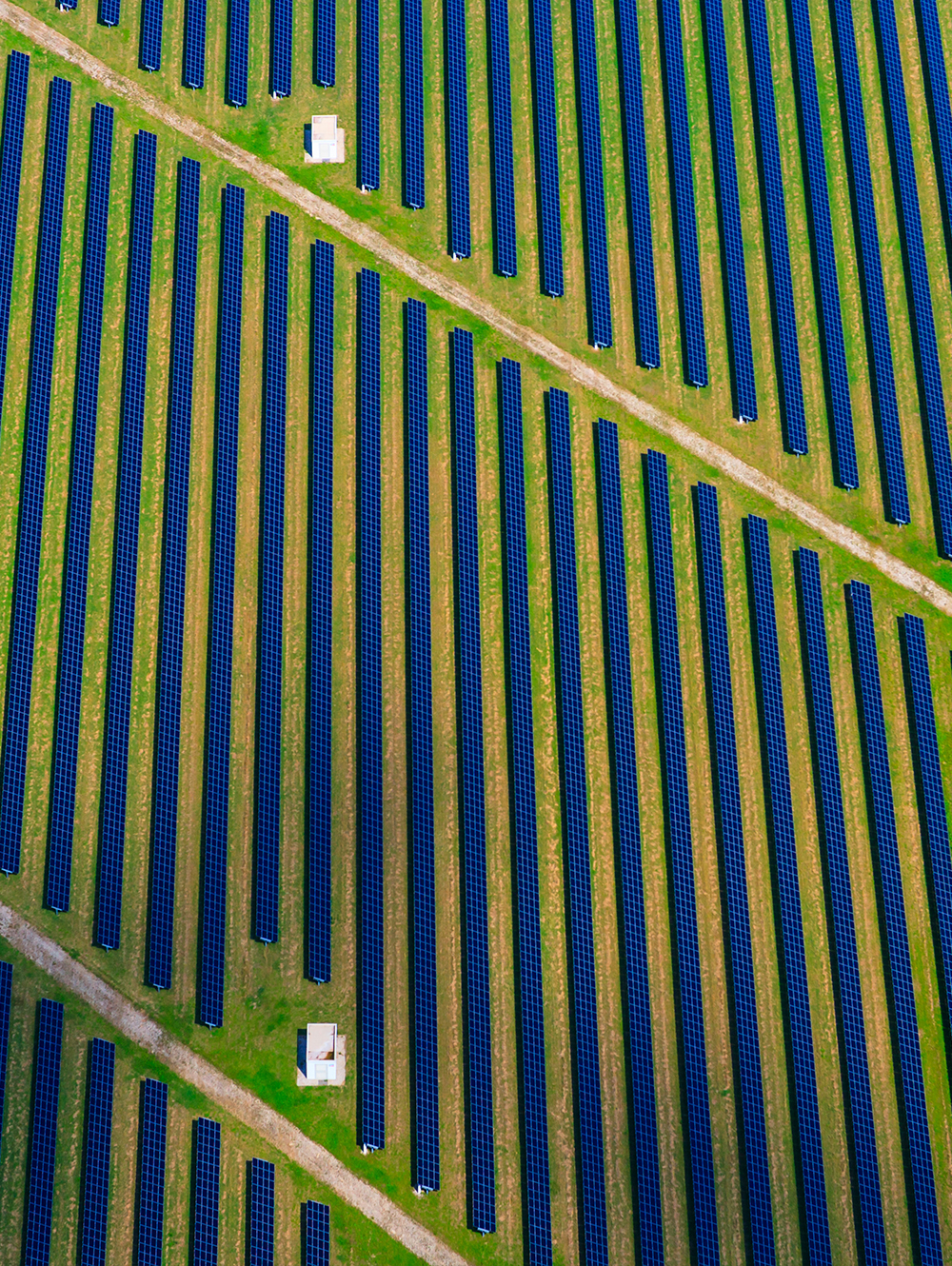 Sustainable agricultural practices