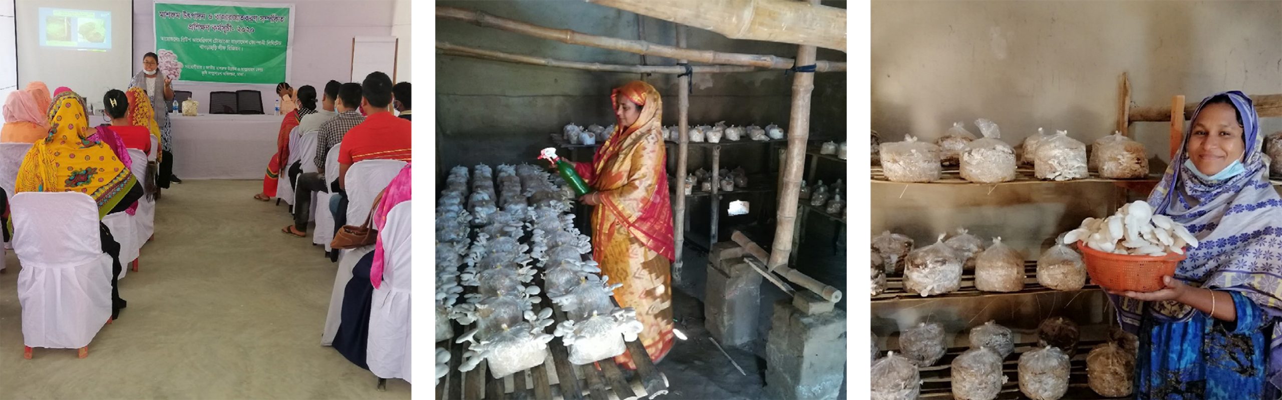 Empowering Communities: Mushroom Cultivation Initiative