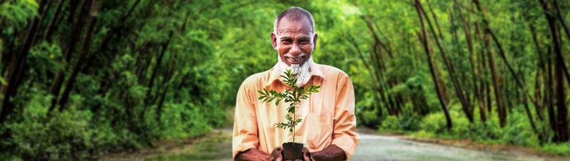  Afforestation: Largest private-sector driven afforestation program in the country