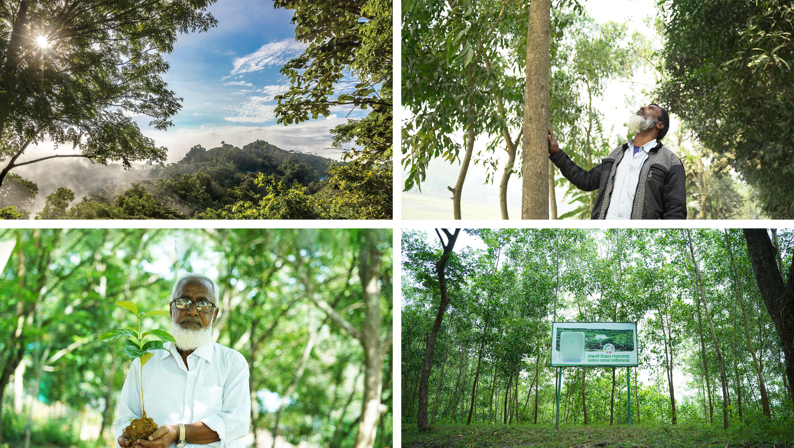  Afforestation: Largest private-sector driven afforestation program in the country