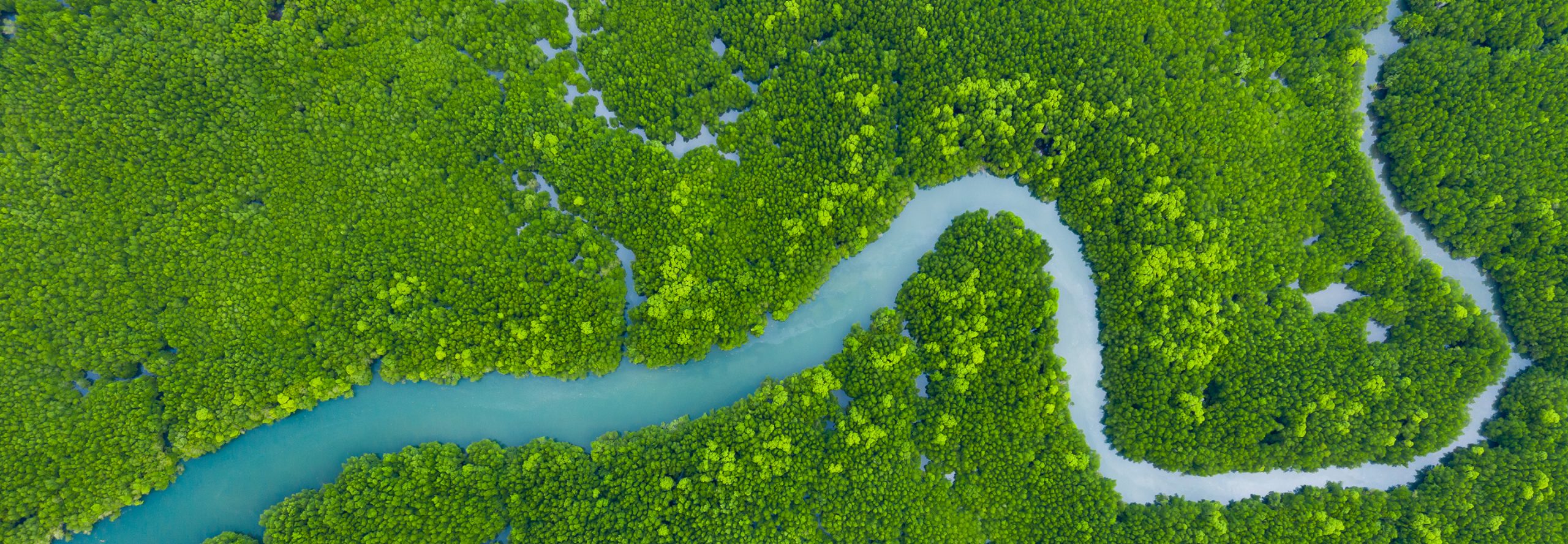 Our Flagship Sustainability Initiatives