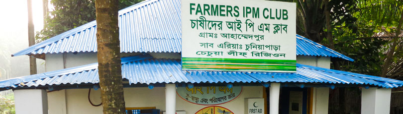 Integrated Pest Management (IPM) Clubs